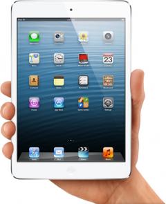 iPad Mini 16GB 4G